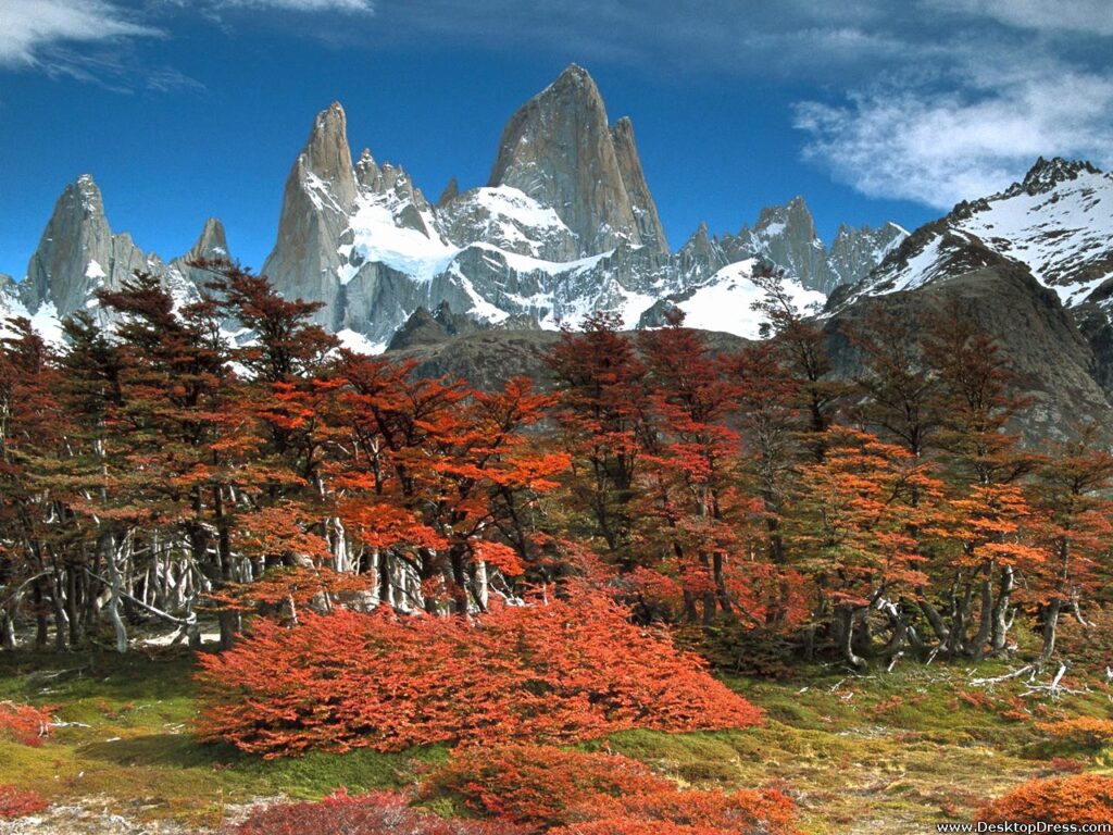 Los Glaciares National Park Argentina